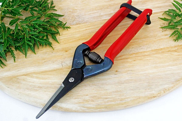 Kéo cắt tỉa cành Chikamasa PST-8