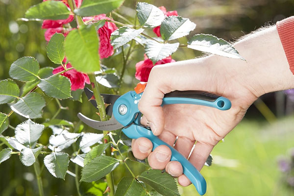 Kìm cắt cành cổ điển Gardena 08857-20