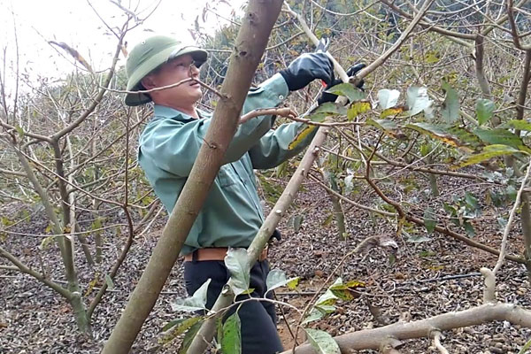 Nên trang bị những đồ bảo hộ cần thiết để đảm bảo an toàn