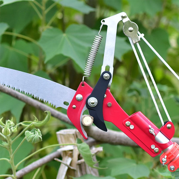 Kéo cắt cành trên cao đa năng luôn được nhiều người dùng lựa chọn