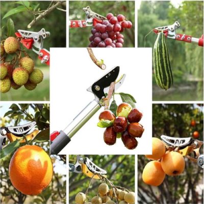 Kéo cắt cành trên cao gắn cưa Fitows