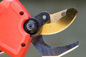 Việc giữ lưỡi kéo sắc bén luôn rất quan trong