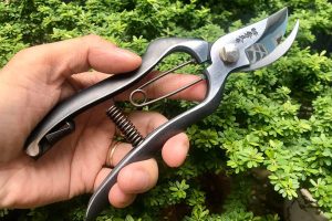 Kéo cắt cành Nhật Bản luôn được dân chơi cây ưu tiên lựa chọn