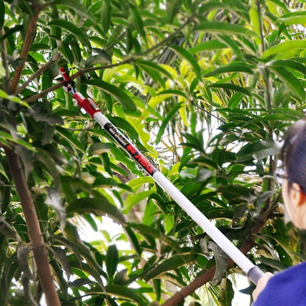 Kéo cắt cành trên cao tiện lợi, dễ sử dụng Kéo cắt cành trên cao tiện lợi, dễ sử dụng