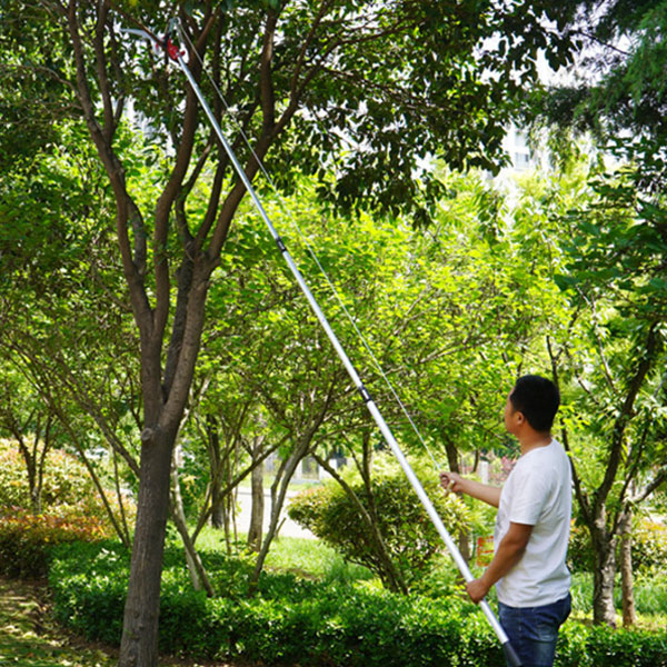 Kéo cắt cành trên cao phù hợp cho những cây thân gỗ lớn trong vườn Kéo cắt cành trên cao phù hợp cho những cây thân gỗ lớn trong vườn