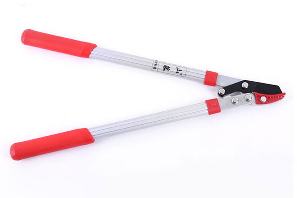 Kéo cắt cành cộng lực 9741 HM007