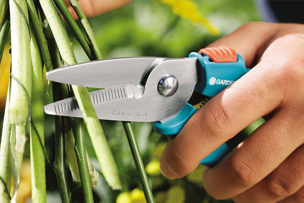 Kéo cắt cành lưỡi thẳng chủ yếu sử dụng cho những loại cành nhỏ