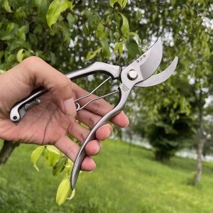 Kéo cắt cành Nhật Bản là sản phẩm đang được ưa chuộng hàng đầu hiện nay