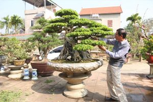 Nên ý tưởng, tạo dáng theo sở thích người chơi
