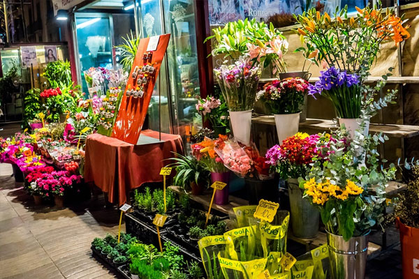 Cửa hàng Hoa Kiểng Cà Mau