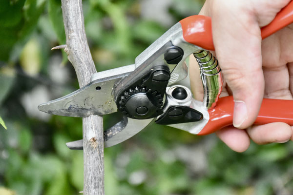 Chất liệu làm kéo đảm bảo không rỉ sét trong thời gian sử dụng