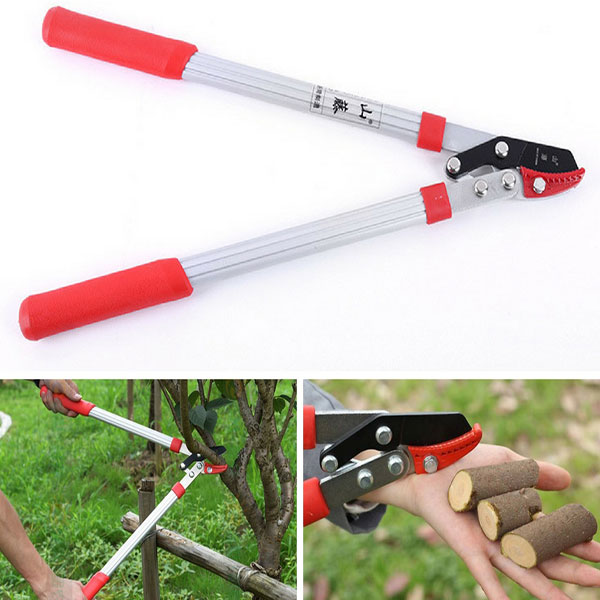 Kéo cắt cành cộng lực là dụng cụ cắt tỉa cành cây có kích thước lớn Kéo cắt cành cộng lực là dụng cụ cắt tỉa cành cây có kích thước lớn