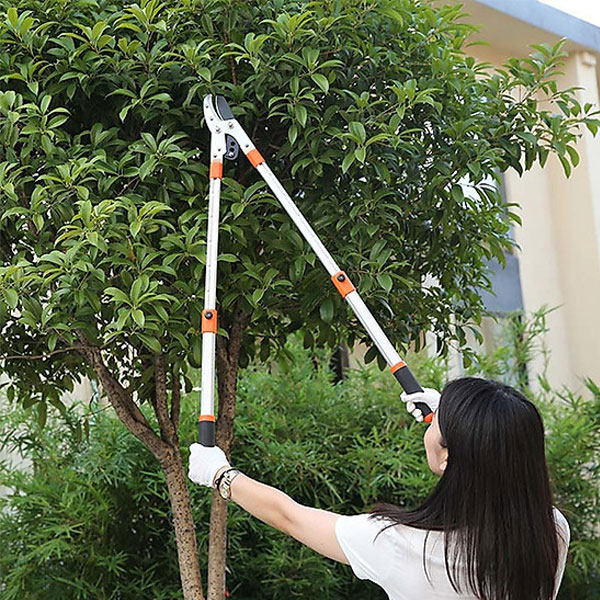 Với phần cán dài có thể cắt những cành trên cao dễ dàng Với phần cán dài có thể cắt những cành trên cao dễ dàng