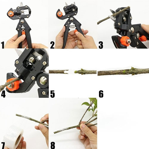 Kéo ghép cành vỉ nhựa