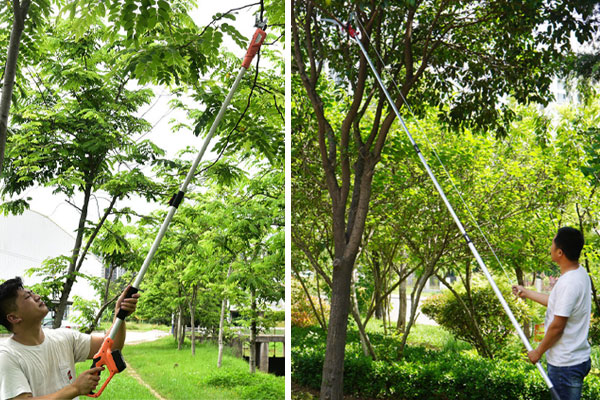 Kéo cắt cành trên cao giúp người dùng cắt tỉa dễ dàng