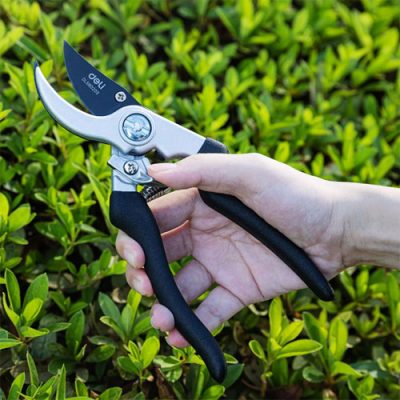 Kéo cắt tỉa cành cây Deli DL580203