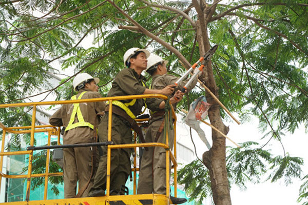 Sử dụng đồ bảo hộ để đảm bảo an toàn trong quá trình cắt