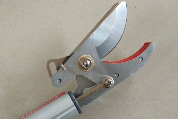 Luôn vệ sinh sạch sẽ lưỡi kéo sau khi sử dụng