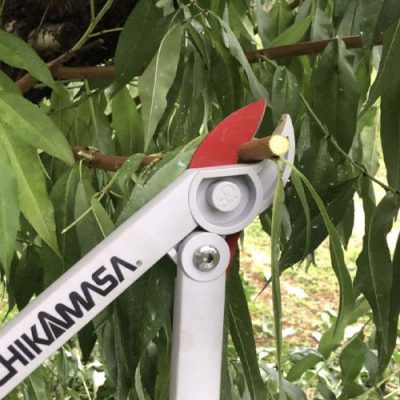 Kéo cắt cành trợ lực Chikamasa LP-400