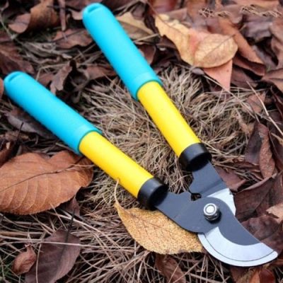 Kéo cắt cành vàng xanh HM600