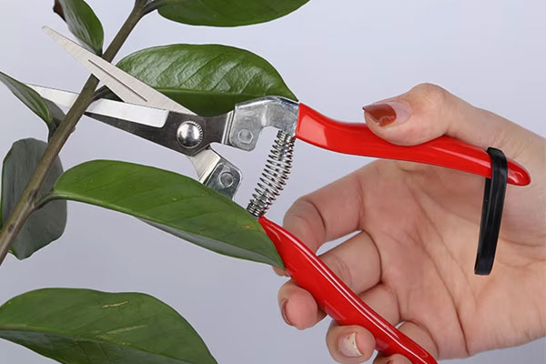 Kéo có kích thước nhỏ gọn, tay cầm chắc chắn phù hợp với cả những người có bàn tay nhỏ