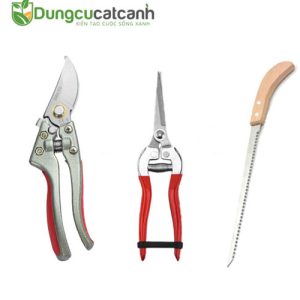 Combo 3 món dụng cụ bonsai
